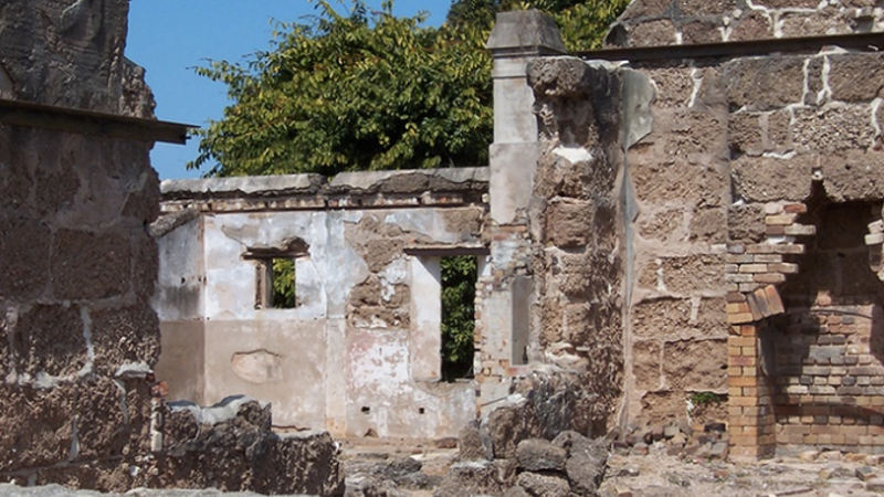 Join the team at Cat O Nine Tails for a fun, educational and extremely enjoyable tour of Queensland’s most historic Island!